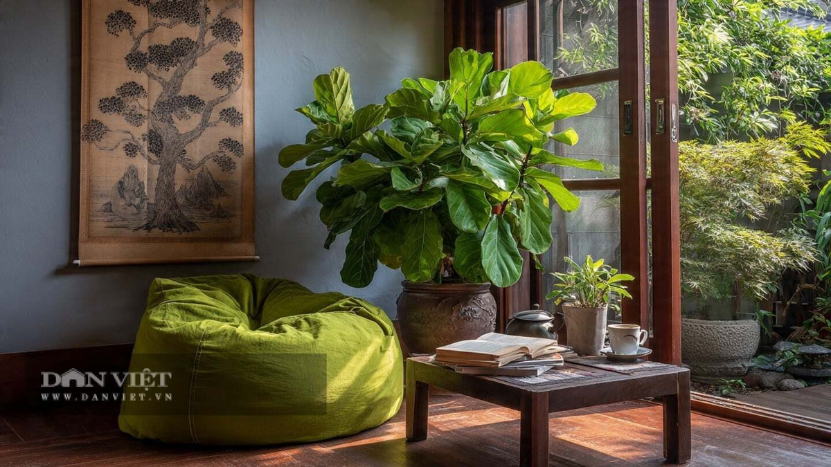 Người xưa cho rằng, trồng cây cảnh trong nhà sẽ mang lại sự giàu sang