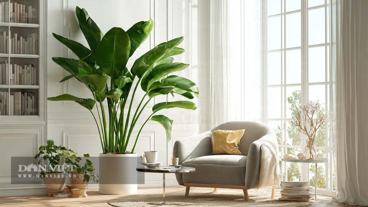 Người xưa cho rằng, thiên điểu tượng trưng cho "may mắn và trường thọ"