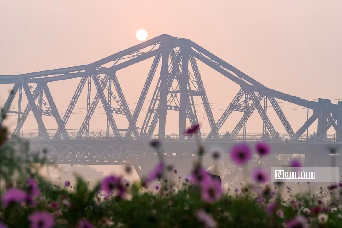 Vốn là bãi bồi từng bị tàn phá nặng nề sau các đợt lũ sông Hồng, khu vực này nay đã hồi sinh mạnh mẽ, khoác lên mình diện mạo mới đầy sức sống. Không gian thoáng đãng, ngập tràn sắc hoa đã trở thành điểm đến lý tưởng để người dân đón bình minh, dạo chơi và ghi lại những khoảnh khắc rực rỡ, yên bình giữa lòng Thủ đô.