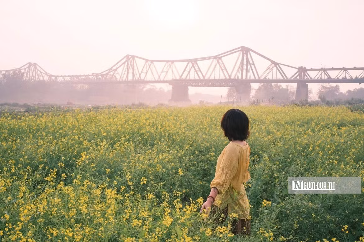 Từ ngày ra mắt “Bến hoa Phúc Xá”, bất cứ thời gian nào trong ngày, nơi đây cũng thấp thoáng du khách đến tham quan, trải nghiệm bởi không gian chụp ảnh mới lạ khi có thể bắt trọn nhịp sống thường ngày của cây cầu Long Biên.