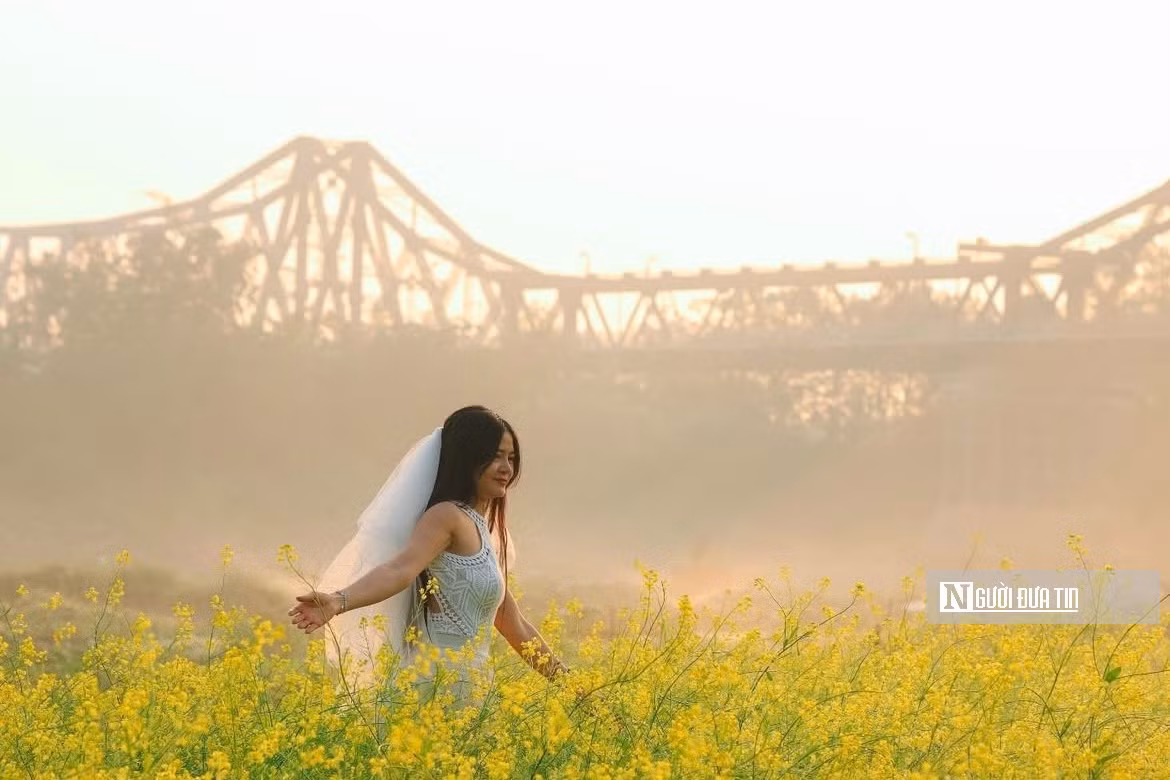 Vào những ngày nắng đẹp, khu vực này trở nên rộn ràng hơn khi nhiều người tìm đến dạo chơi, chụp ảnh, ghi lại những khoảnh khắc đẹp giữa không gian ngập tràn sắc hoa và gió sông mát lành.