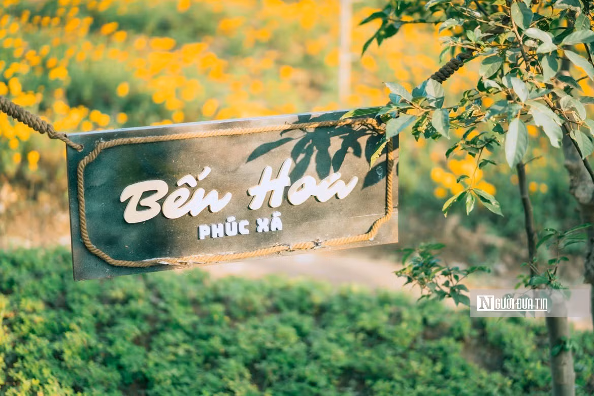 Nằm khuất dưới nhịp cầu Long Biên cổ kính, bến hoa Phúc Xá (phường Hồng Hà) đang trở thành tâm điểm chú ý của giới trẻ Hà Nội trong những ngày đầu năm.