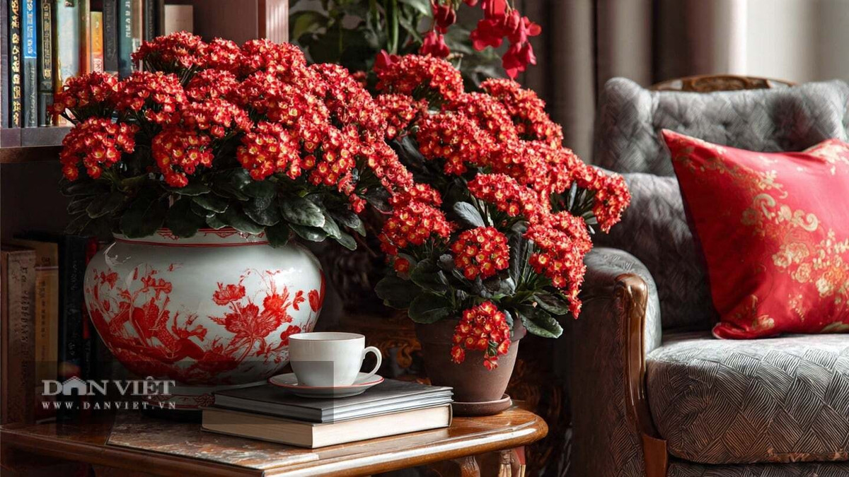 Cây cảnh sống đời ra hoa từ mùa đông đến mùa xuân