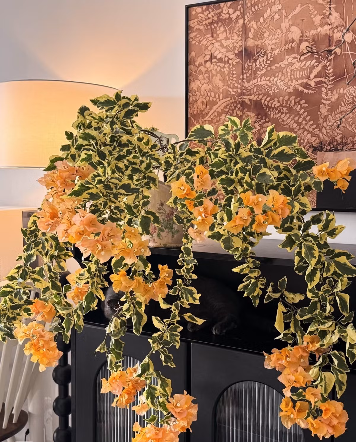 Cây cảnh có ý nghĩa mang lại tài lộc, thịnh vượng.