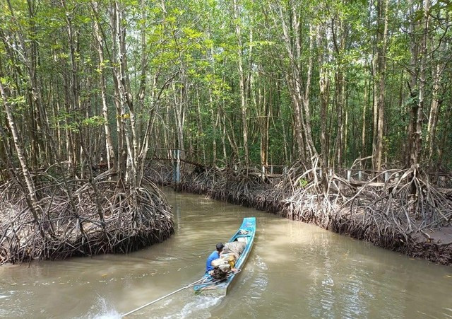 Trải nghiệm xuyên rừng bằng "vỏ lãi"