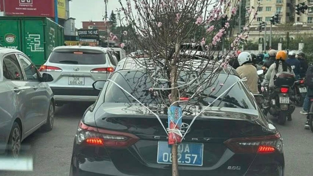 Hình ảnh người dân chụp phản ánh tài xế xe công biển màu xanh buộc chở cành đào che biển số.
