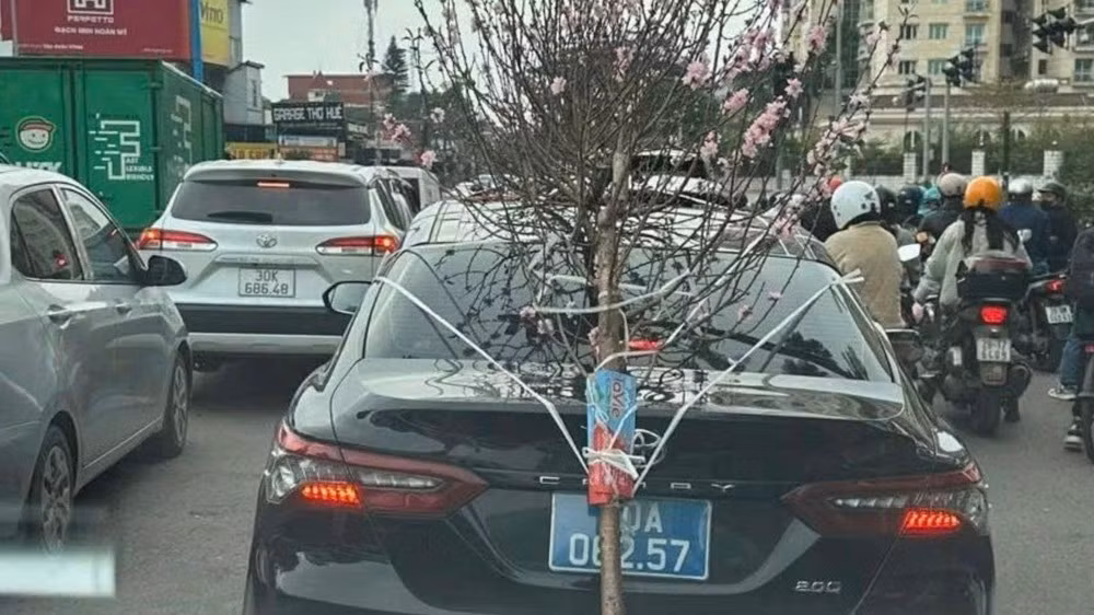 Hình ảnh người dân chụp phản ánh tài xế xe công biển màu xanh buộc chở cành đào che biển số.