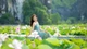 Rủ nhau về Hang Múa “săn” mùa sen đẹp như tranh vẽ
