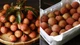 Mẹo bảo quản vải tươi cả tháng, ăn dần sau mùa thu hoạch