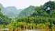 Du lịch sinh thái Việt Nam điểm ngắm chim quý lý tưởng cho du khách