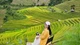Ruộng bậc thang bản Kim Nọi, góc check-in mê mẩn giữa núi rừng Mù Cang Chải