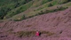Trekking săn hoa chi pâu trên đỉnh Tà Chì Nhù, chọn tour nào để an toàn?