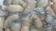 Đặc sản râu tua tủa ở miền Trung, ăn rồi là mê