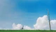 Đê cỏ lau giữa Hà Nội, góc chụp khiến nhiều người ngỡ ở Nhật