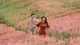 Đa dạng tour Đà Lạt, chọn gói nào "xuống tiền"?