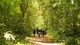 Trekking xuyên rừng Cát Bà, khám phá làng cổ Việt Hải giữa thiên nhiên