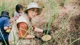 Trải nghiệm hái nấm rừng mùa mưa chill hết nấc ở Đà Lạt