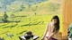 Gợi ý 5 quán cà phê view thung lũng, check-in đẹp nhất mùa lúa Sa Pa