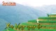 Xím vàng ngày hè - Sắc xanh giữa đại ngàn