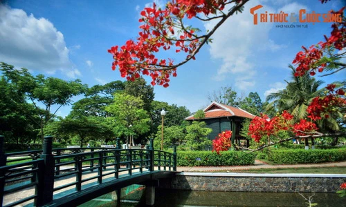 Lặng ngắm phong cảnh tuyệt vời của mảnh đất Đồng Tháp