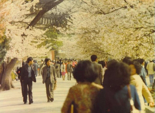 Ít ai ngờ, cuộc sống ở Seoul cuối thập niên 1970 là thế này