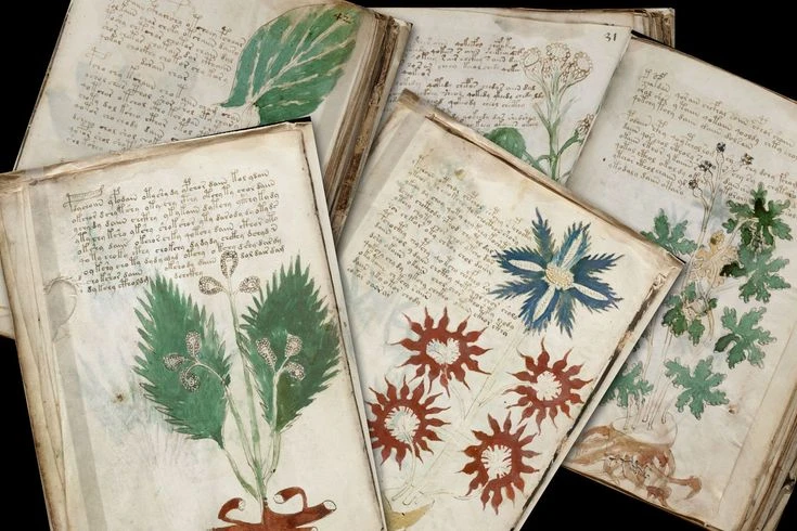 Bí ẩn không lời giải của cuốn sách kỳ lạ nhất lịch sử