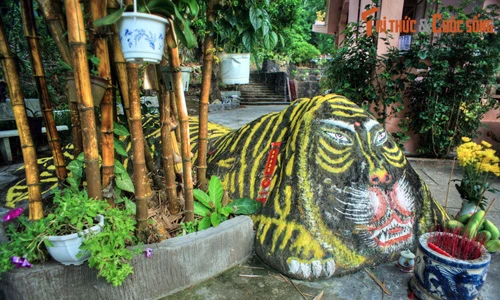 Kỳ thú ông Hổ linh thiêng nằm giữa sân chùa nổi tiếng Phú Quốc