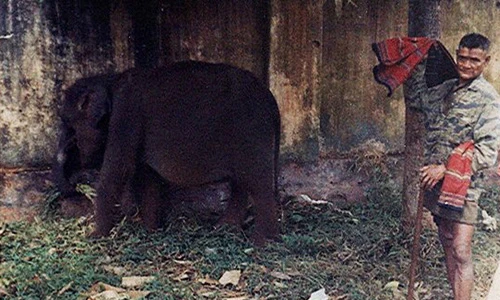 Ảnh màu hiếm về Buôn Ma Thuột 1969 - 1970 (1)