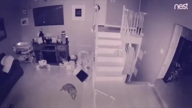 Dân mạng bàn tán về 2 'bóng ma' xuất hiện trên camera an ninh