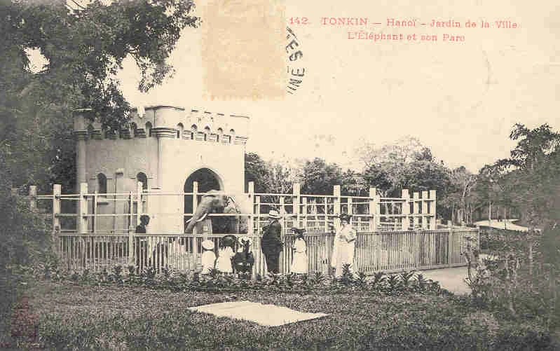 Ngắm vườn Bách Thảo Hà Nội trong loạt bưu thiếp trăm tuổi