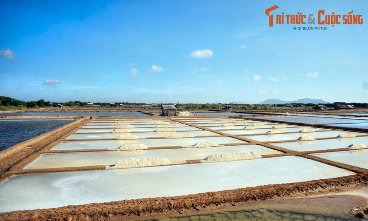 Những điều thú vị phải khám phá ở đảo “Rồng” cạnh Vũng Tàu