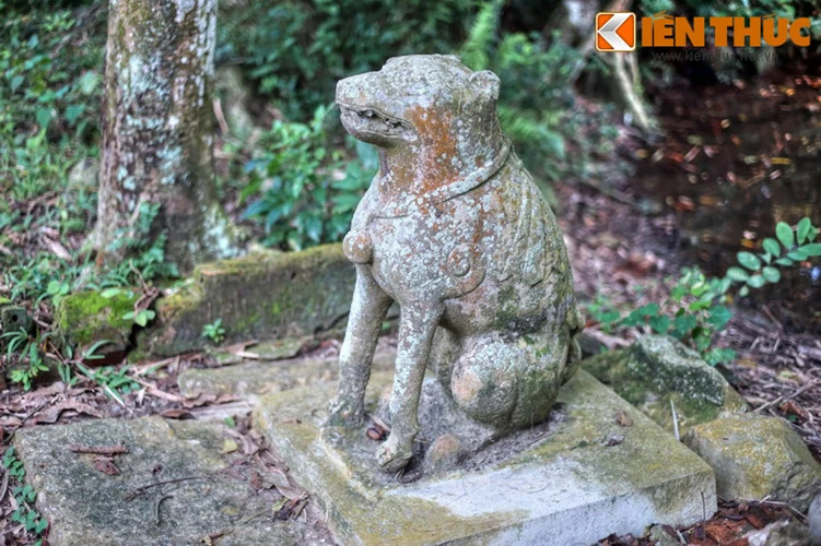 Độc đáo những phong tục tập quán gắn với con chó ở Việt Nam