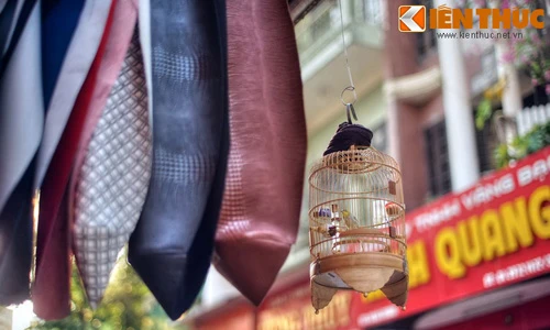 Bí mật lịch sử của phố Hà Trung nổi tiếng Hà Nội