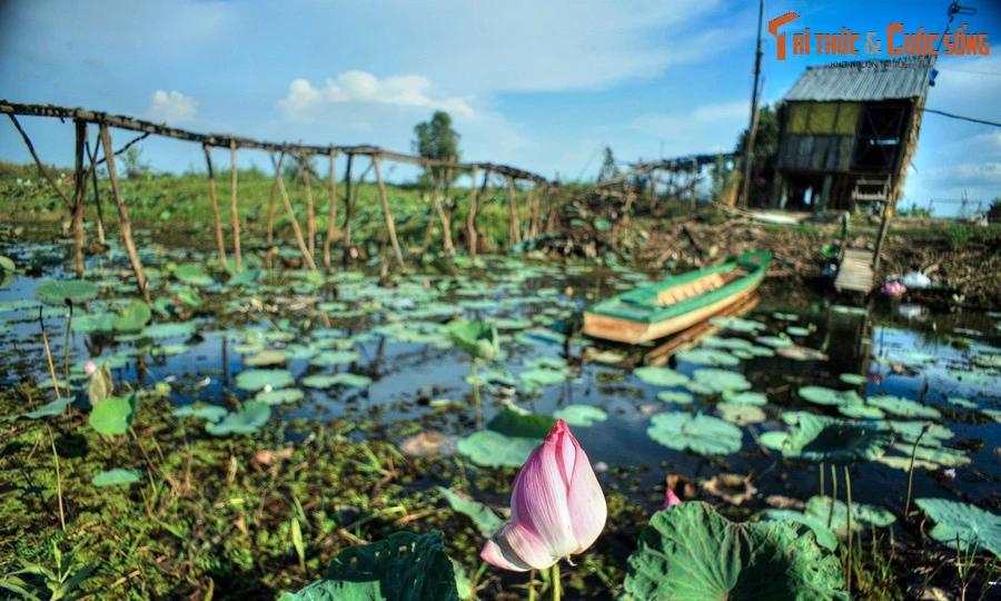 Những tiết lộ bất ngờ về tên gọi địa danh Đồng Tháp Mười 