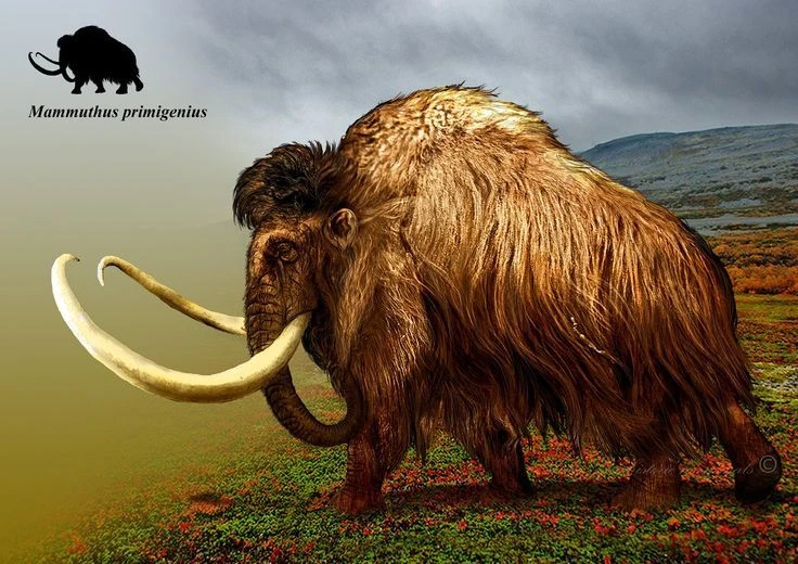 8 tiết lộ cực choáng về loài vật nổi tiếng nhất Kỷ Băng hà