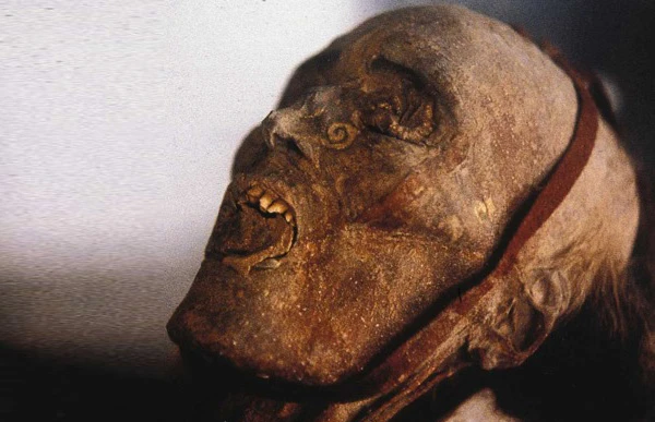 Huyền thoại những xác ướp trên Con đường tơ lụa