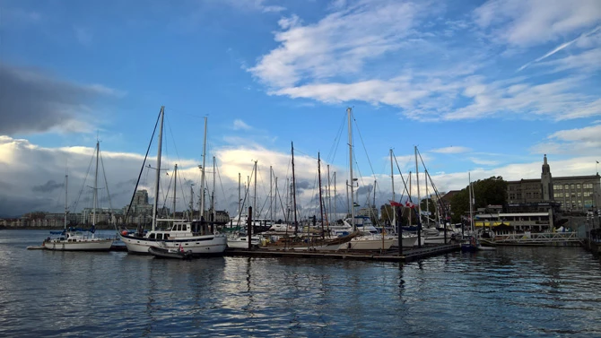 Chiêm ngưỡng bộ ảnh chụp từ điện thoại Lumia 950