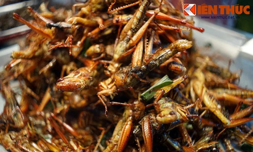 Chết khiếp với thế giới ẩm thực côn trùng ở Thái Lan