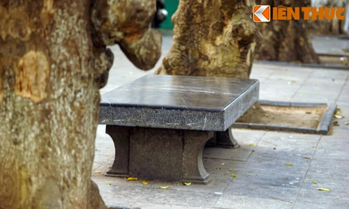 Cận cảnh chiếc ghế đá cổ đặc biệt nhất Việt Nam