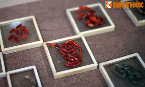 Choáng ngợp kho báu khổng lồ vô giá dưới lòng đất Sài Gòn 