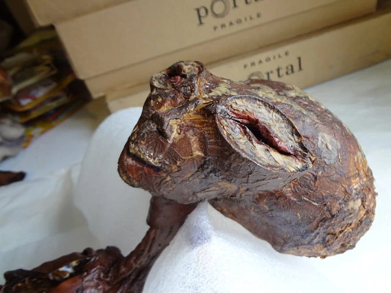 Ẩn số hàng loạt xác chết người ngoài hành tinh năm 1941