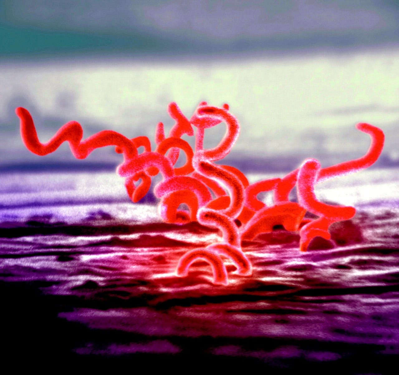 Động trời vụ Mỹ truyền bệnh giang mai cho tù nhân Guatemala