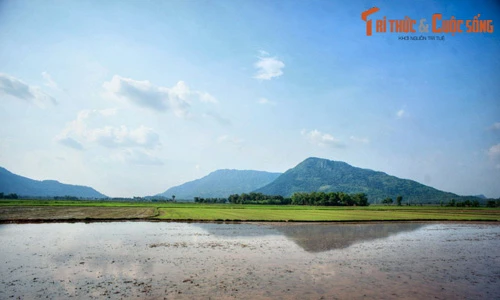 Bức tranh phong cảnh tuyệt vời ở mảnh đất An Giang