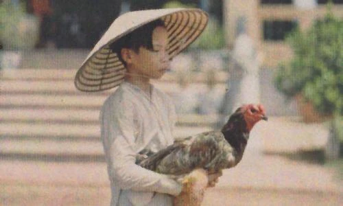 Ảnh màu cực hiếm về trẻ em Việt Nam đầu thế kỷ 20