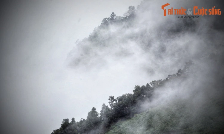 Giải mã chuyện liêu trai bí ẩn trên đèo Bảo Lộc