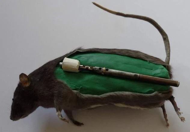 Tiết lộ chấn động về bom chuột hủy diệt khủng khiếp Thế chiến II