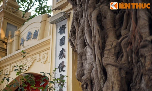 Kỳ lạ cây đa trăm tuổi trùm lên đình cổ giữa Hà Nội