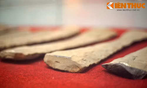 Soi “báu vật” 3.000 tuổi khiến thế giới nể phục của VN