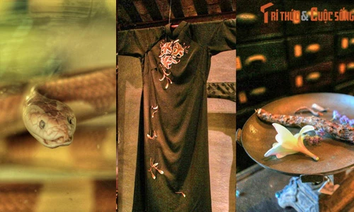 Khám phá bí ẩn bên trong những bảo tàng kỳ lạ nhất VN
