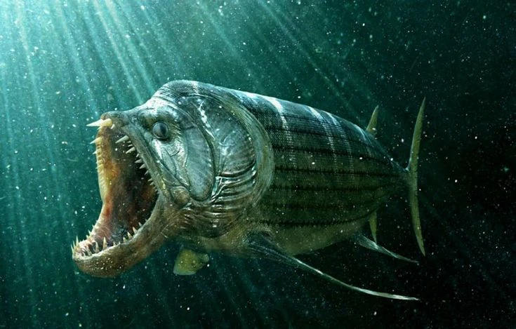 Kinh hoàng loài cá khổng lồ nuốt chửng con mồi cùng kích cỡ